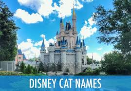 In addition, we're including all cats into this mix, famous lions, tigers and panthers. Disney Cat Names 29 Unforgettable Characters 165 Name Ideas