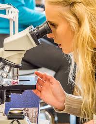 Grays Harbor College General Catalog