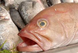 Slideshow Food Dangers You Should Avoid Food Poisoning Foodborne Disease Food