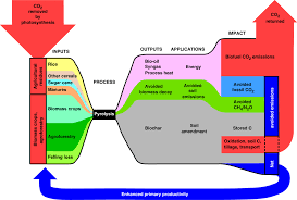 Save Environment Flow Chart To Save Nature