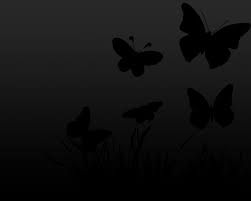 Black and white background with buttrflies. Dark Butterfly Wallpapers Top Free Dark Butterfly Backgrounds Wallpaperaccess