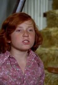 The Partridge Family" Promise Her Anything, But Give Her a Punch (TV  Episode 1972)