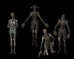 Draugr female xps fbx by Tokami-Fuko on DeviantArt