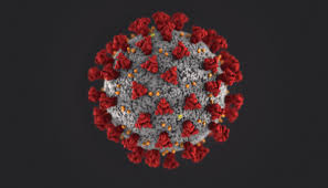 Cases, Data, and Surveillance | CDC
