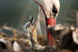 Kız öğrenci mezun olduğu lisede porno filmini çekti - Bursa Hakimiyet