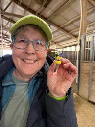 Found a mini duck, replaced with a large duck