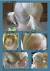 Thin Hair Toddler Girl Hairstyles Short Hair