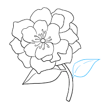 We did not find results for: How To Draw A Peony Really Easy Drawing Tutorial