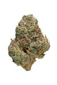Guava Kush Strain Hybrid Cannabis Review Cbd Thc Hytiva This video is for entertainment purposes only i do not sell or promote anyone to use or try any drugs this is a legal cannabis state viewers 21+! guava kush strain hybrid cannabis