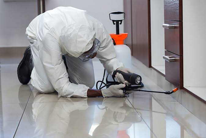 Specialized Pest Barrier Treatment