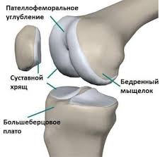 как правильно делать укол в ягодицу самому себе видео Patellofemoralnyj Artroz Kolennogo Sustava Simptomy I Lechenie V 2020 G Prisedaniya Fizkultura