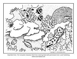 Check spelling or type a new query. Coral Reef Coloring Pages For Kids Coloring Home