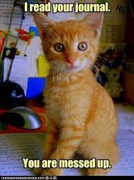 Kitteh Thinks You Need Help Cute Animals Cats Cute Cats