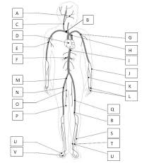 I'm unsure if you're asking about general direction of flow or about memorizing specific names of major arteries and veins. The Major Arteries Veins Of The Body Diagram Quizlet