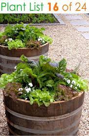 24 Stunning Container Garden Planting Ideas Small Vegetable Gardens Veggie Garden Wine Barrel Garden