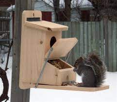 Diy Yard Decorations Squirrel House Designs To Build And Feed Animals In Winter Squirrel Feeder Diy Squirrel Feeder Squirrel Feeders