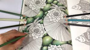 Water Lilies Part 1 Pebbles Drawing Daydreams Coloring Book Coloring Books Johanna Basford Coloring Book Colored Pencil Techniques