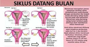Pin Di Bulan