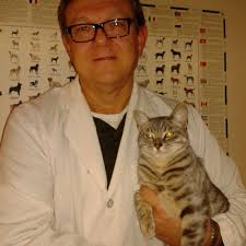 TOP 10 BEST Equine Veterinary Care near Parsons, TN