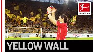 Neven subotic ist ab sofort spieler des cashpoint scr altach. Neven Subotic Neven Subotic Scr Altach