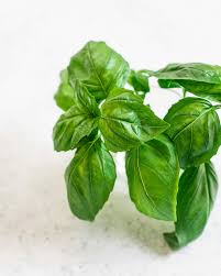 Maybe you would like to learn more about one of these? 20 Basil Recipes For The Season A Couple Cooks