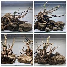 Simon S Aquascape Blog 4 Different Layouts Same Rocks And Woods Aquascape Aquarium Biotope Aquarium Aquarium Landscape