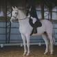Redefined Equestrian Horse Trials