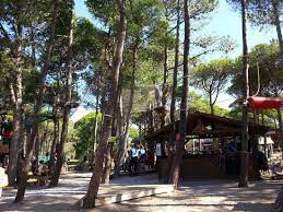 Trouvez des activités à réserver en suivant les conseils et recommandations des habitants qui connaissent le mieux leucate. Parc Tres Complet Pour Les Enfants Avis De Voyageurs Sur Leucate Aventures Port Leucate Tripadvisor