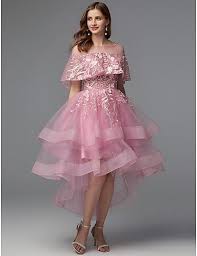 Back To School A Line Elegant High Low Holiday Cocktail Party Prom Dress Illusion Neck Sleeveless Asymmetrical Lace Tulle With Lace Insert 2020 Hoco Dress 2020 Cheap Prom Dresses Online Prom