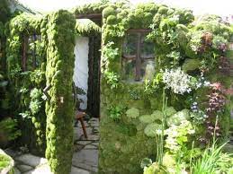 Chelsea Flower Show A Preview Moss Garden Vertical Garden Garden