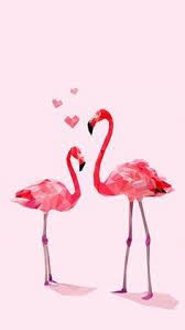 نتيجة بحث الصور عن فلامنقو Flamingo Wallpaper Flamingo Pictures Flamingo Art