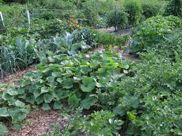 Lessons Learned In The Garden