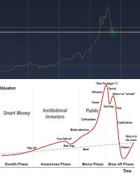 Bitcoin Chart 2017 Vs Generic Chart Of A Financial Bubble