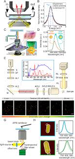 Maybe you would like to learn more about one of these? Single Particle Scattering Spectroscopy Fundamentals And Applications