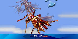 We did not find results for: Cara Ini Diklaim Berantas Nyamuk Dbd Tanpa Fogging Dan Obat Benarkah Halaman All Kompas Com