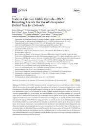 Image result for Satyrium kitimboense