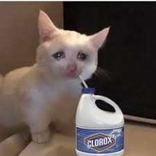 Top 29 crying cat memes. Sad Cat Meme