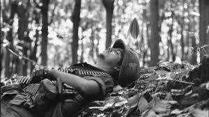 Malheureusement pour eux, la ville de troie était protégée par. La Guerre Du Vietnam 1955 1975