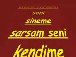 Taraftarlar iyi ve önemli bir maç kazandıklarında bu sözleri paylaşırlar. Pinarbasi Galatasaray Fanatik Marslar Youtube