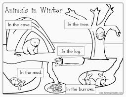 Check spelling or type a new query. Free Printable Coloring Pages Hibernating Animals Hibernating Animals Preschool Winter Animals Preschool Hibernation Preschool Activities