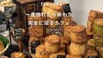 MUME: 福岡大濠の絶品カフェ体験