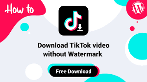 Download Tiktok Videos Download Videos Without Watermark Including Musically Mp3 Audio Profile Picture From Tiktok And Douyin