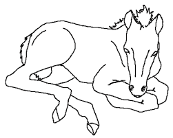 Pin On Horse Crafts