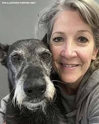 Challenges of Managing a Dog Shelter in Tuzla, Bosnia and Herzegovina