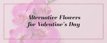 Better than flowers have a heart: Alternative Flowers For Valentine S Day Ode A La Rose