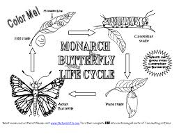 Maybe you would like to learn more about one of these? Monarch Butterfly Life Cycle Coloring Page