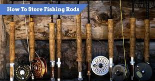 We did not find results for: How To Store Fishing Rods The Right Way Tips And Ideas To Last
