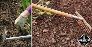 Maybe you would like to learn more about one of these? How To Weed Your Garden Gardening Channel