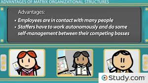 Matrix Organizational Structure Advantages Disadvantages Examples