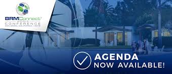 IAmBRM: Lynn Borders